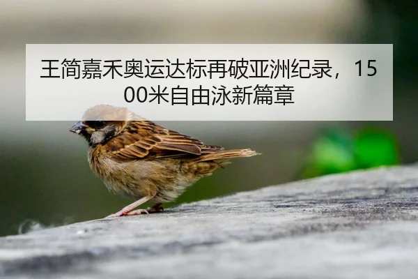 王简嘉禾奥运达标再破亚洲纪录，1500米自由泳新篇章